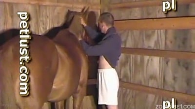 Пастух показал как трахает свою молоденькую лошадку