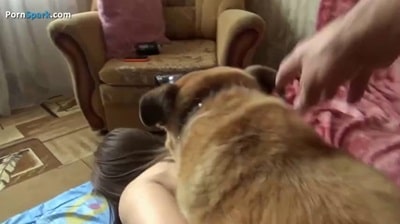 Русская гимнастка с молодой собакой снимают домашнее порно